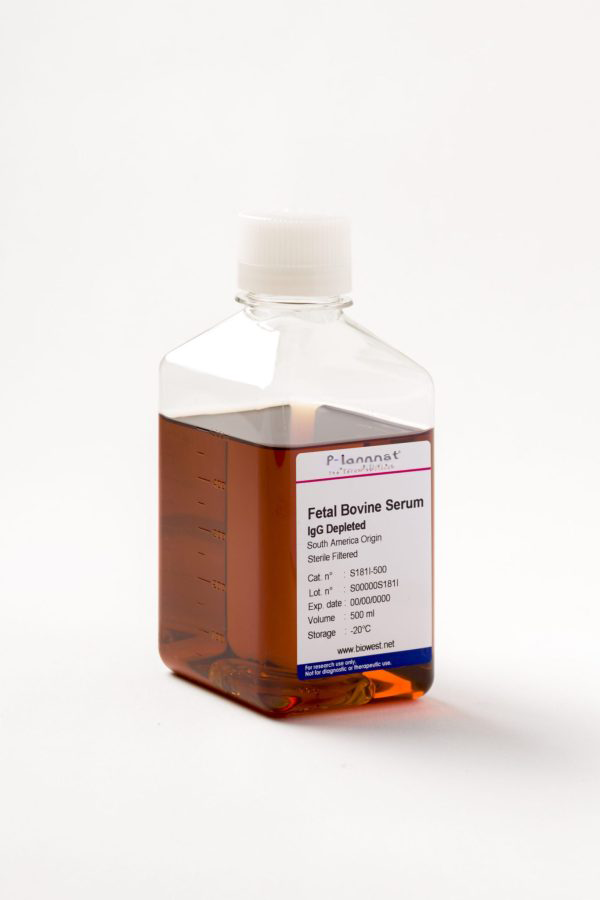 Fetal bovine serum